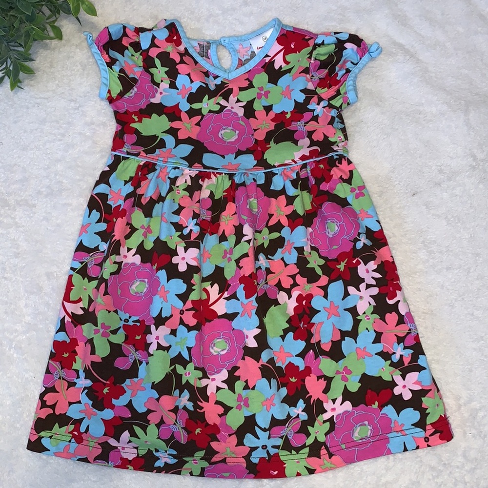 Hanna Andersson 100 Pink Blue Floral Dress 4 Girls